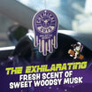 Galactic Scent Hanging Air Freshener 3-Pack