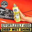 Intermediate Complete Car Care Deluxe Kit