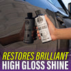 Maxi Suds 2 High Foam Maintenance Shampoo And Gloss Booster