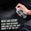 Quick Total Interior Revive Kit